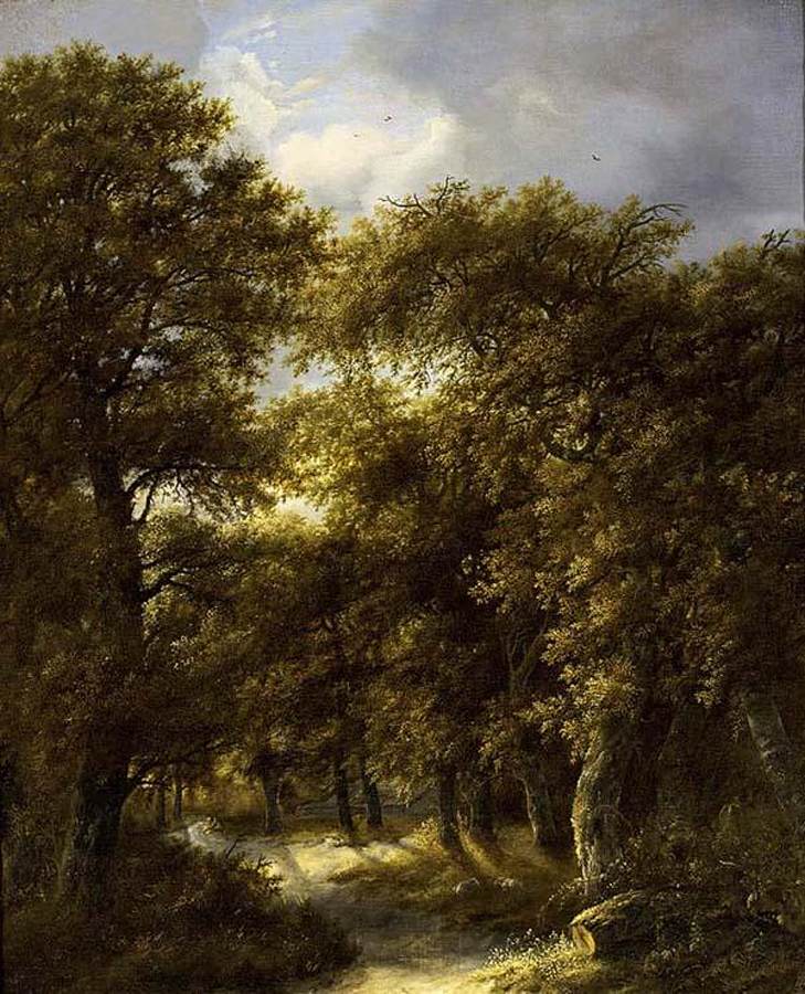 wooded landscape