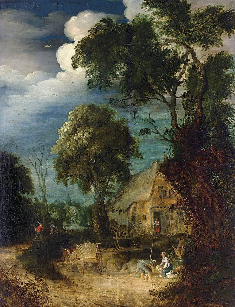 Paysage boisé