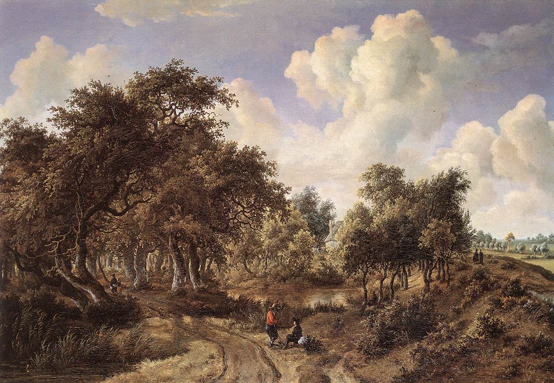 Un paysage boisé