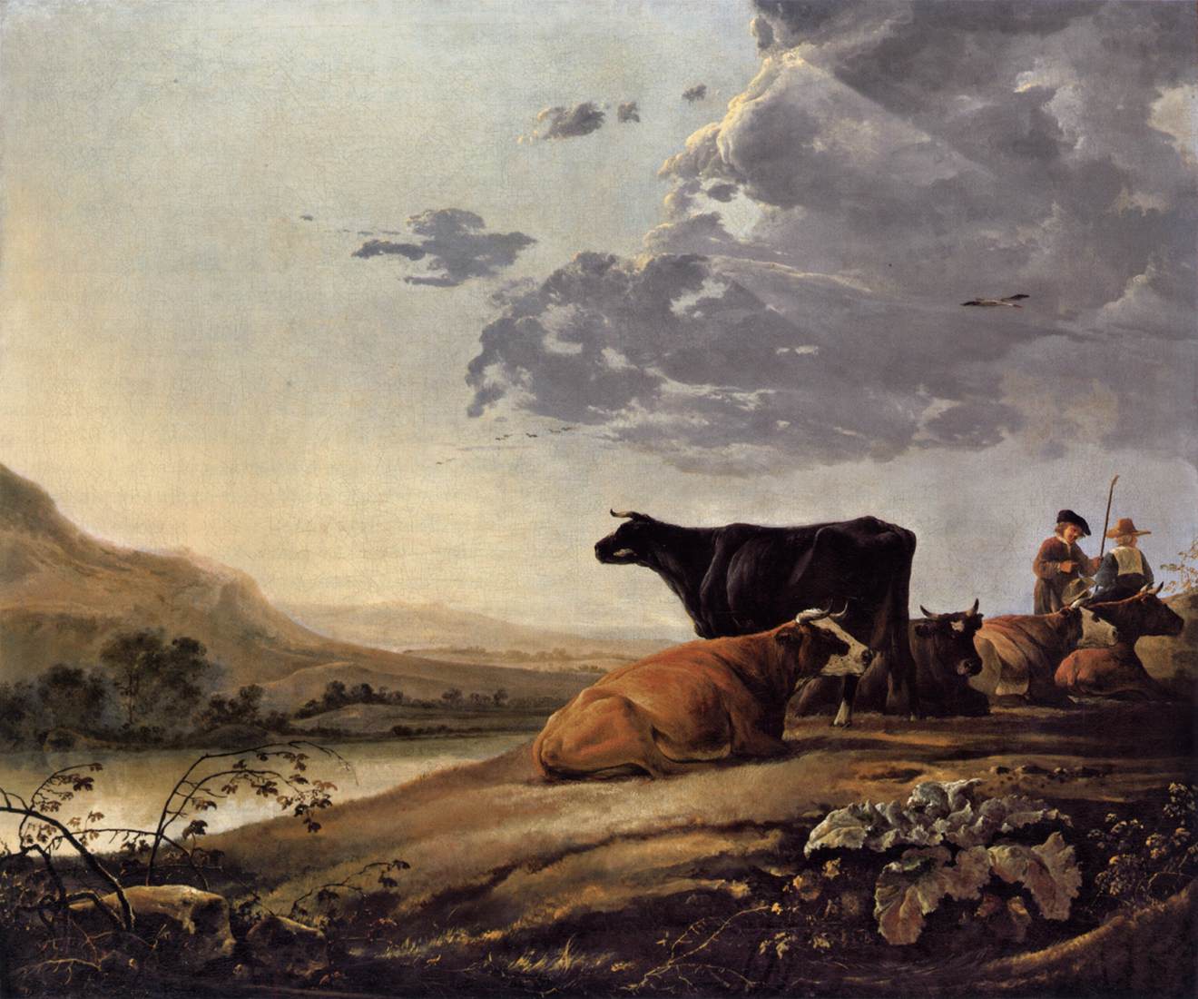 Jeune berger avec des vaches